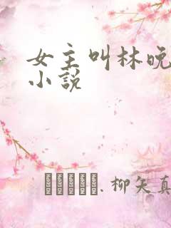 女主叫林晚晚的小说