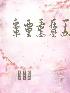 东西丢在了公交车里怎么办