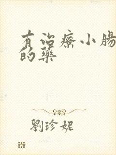 有治疗小肠换气的药