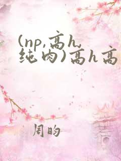 (np,高h,纯肉)高h高辣bl