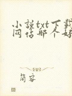 小说txt下载网站哪个好