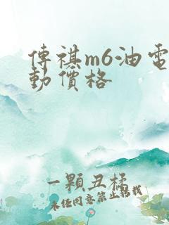 传祺m6油电混动价格