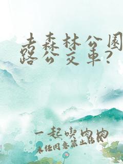 去森林公园坐几路公交车? 去森林公园坐几路公交车?