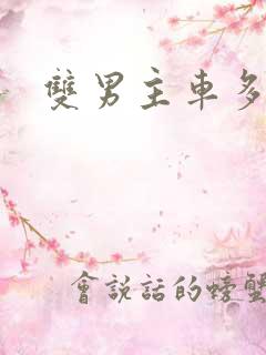 双男主车多小说