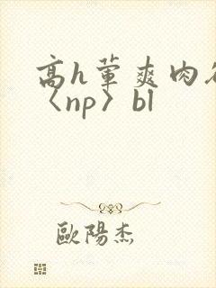 高h荤爽肉欲文〈np〉bl