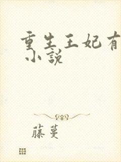 重生王妃有点凶 小说