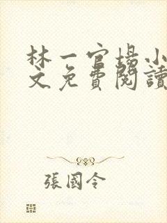 林一官场小说全文免费阅读