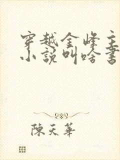 穿越金峰主角的小说叫啥书名