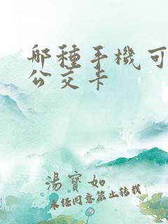 哪种手机可以充公交卡