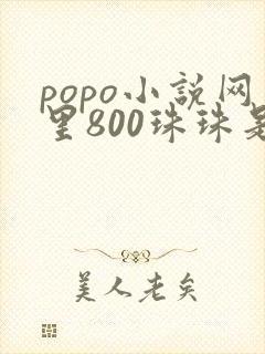 popo小说网里800珠珠是多少钱