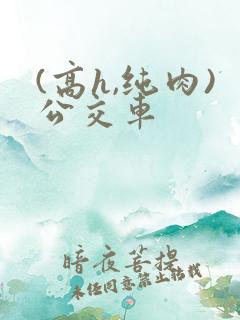 (高h,纯肉)公交车