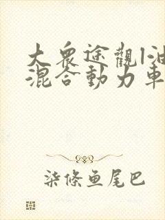 大众途观l油电混合动力车型