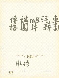 传祺m8汽车价格图片 新款 传祺m8汽车价格图片 新款