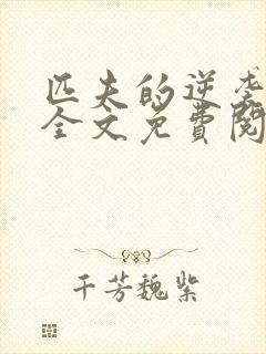 匹夫的逆袭小说全文免费阅读全文 匹夫的逆袭小说全文免费阅读全文