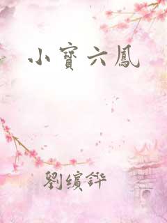 小宝六凤 小宝六凤