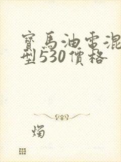 宝马油电混合车型530价格