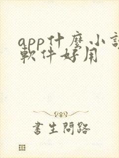 app什么小说软件好用 app什么小说软件好用