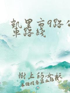 凯里市9路公交车路线