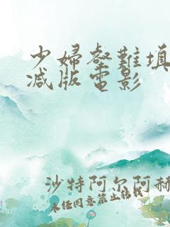少妇壑难填无删减版电影