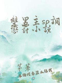 双男主sp调教惩罚小说