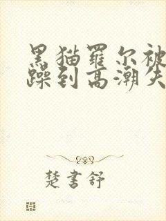 黑猫罗尔被狂c躁到高潮失禁