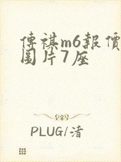 传祺m6报价及图片7座