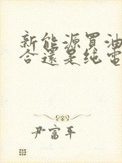 新能源买油电混合还是纯电的