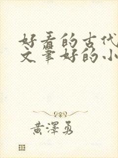 好看的古代言情文笔好的小说