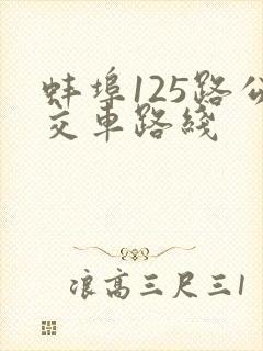 蚌埠125路公交车路线