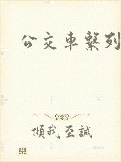 公交车系列爽文