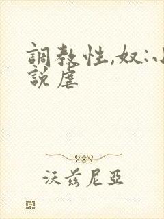 调教性,奴:小说虐