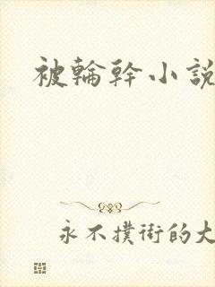被轮干小说