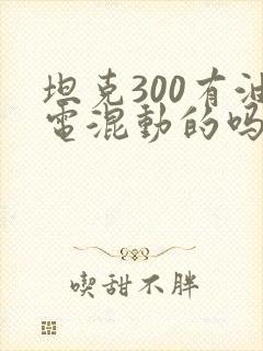 坦克300有油电混动的吗 坦克300有油电混动的吗