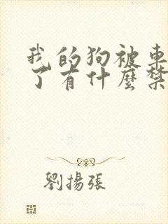 我的狗被车撞死了有什么禁忌