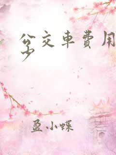 公交车费用是多少