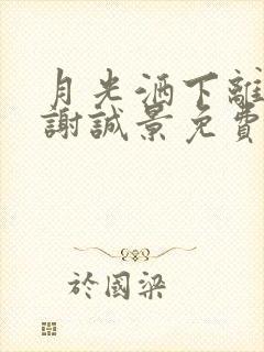 月光洒下离人巷谢诚景免费阅读