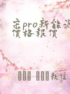 宋pro新能源价格报价