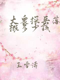 大众探岳落地大概多少钱
