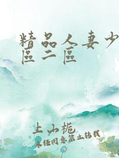 精品人妻少妇一区二区