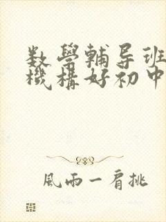 数学辅导班哪个机构好初中