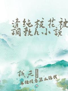 清纯校花被地狱调教h小说