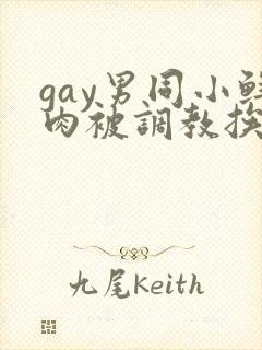 gay男同小鲜肉被调教挨操