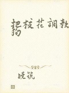 把校花调教成母狗
