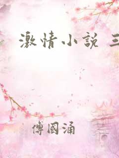 激情小说 三级