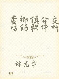 查乡镇公交车到站的软件叫什么