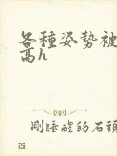 各种姿势被np高h 各种姿势被np高h