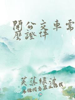 开公交车需要什么证件
