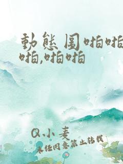 动态图啪啪啪,啪,啪啪