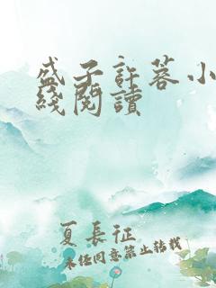 盛子许蓉小说在线阅读 盛子许蓉小说在线阅读