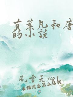 有叶凡和唐若雪的小说